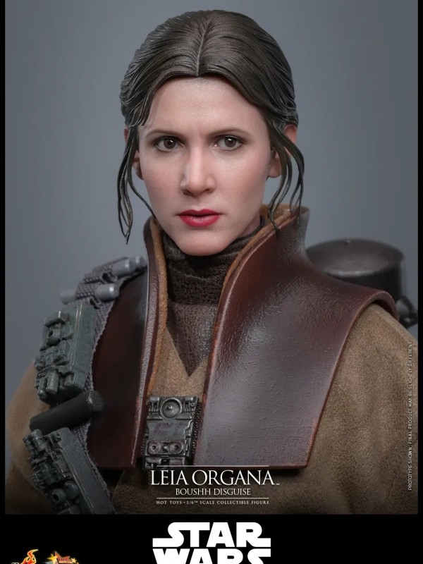 Leia Organa - (Boushh Disguise) Hot Toys