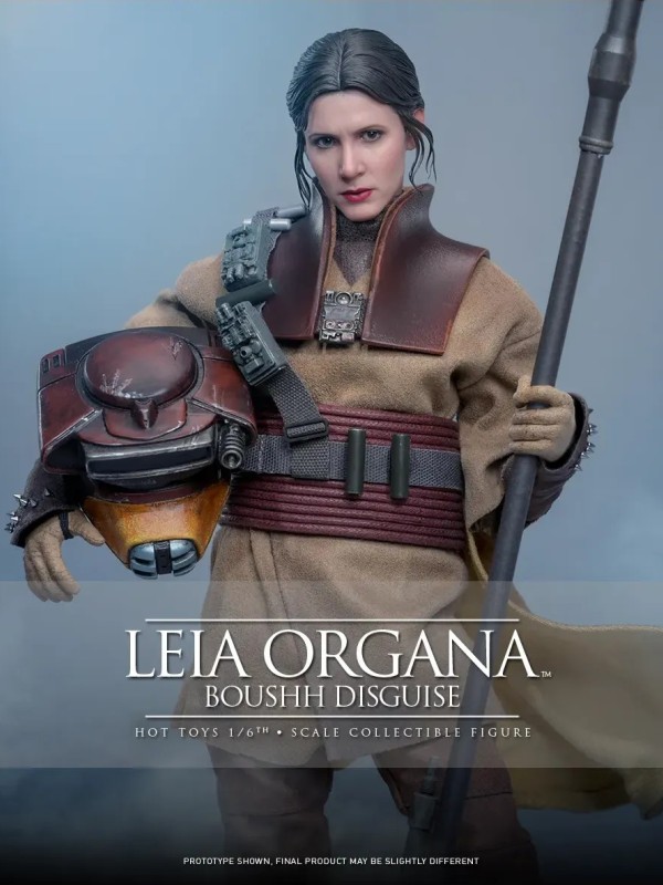 Leia Organa - (Boushh Disguise) Hot Toys