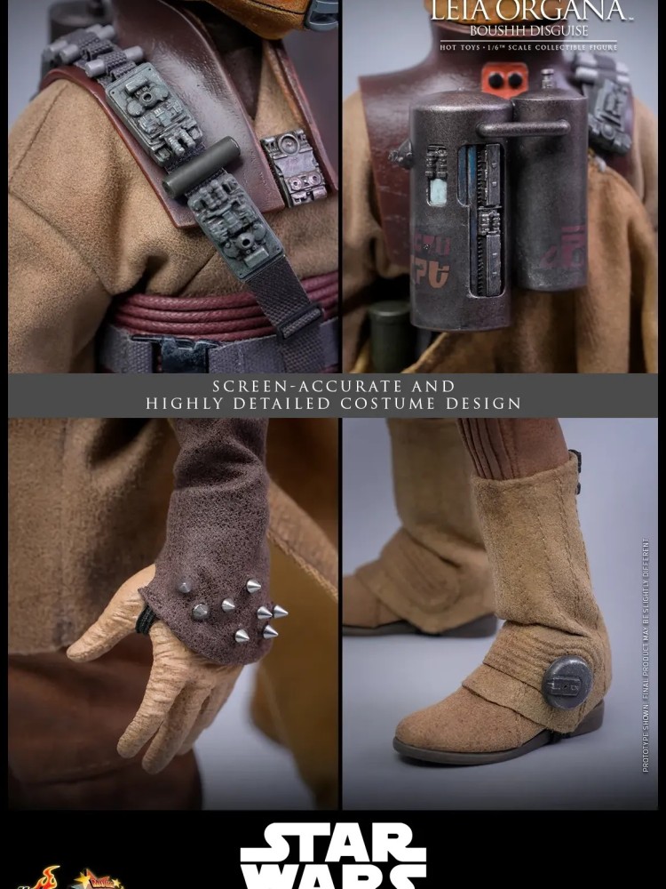 Leia Organa - (Boushh Disguise) Hot Toys