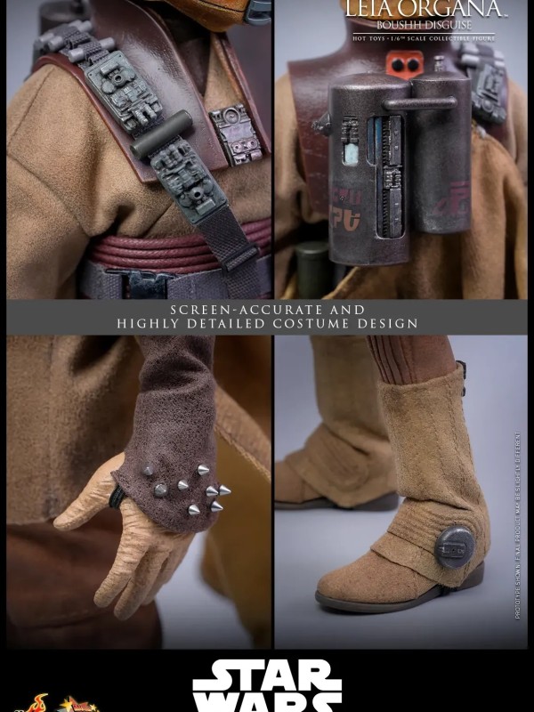 Leia Organa - (Boushh Disguise) Hot Toys