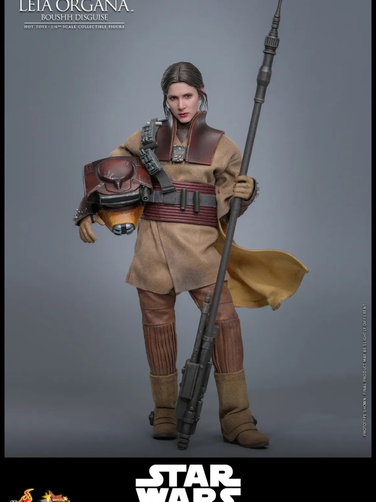 Leia Organa - (Boushh Disguise) Hot Toys