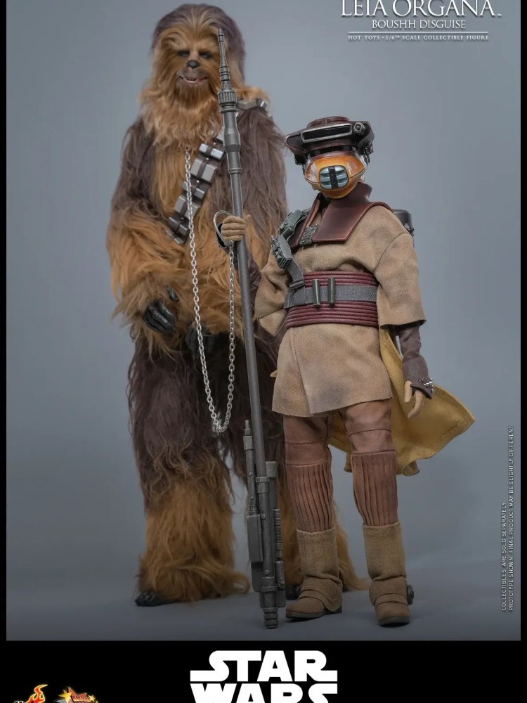 Leia Organa - (Boushh Disguise) Hot Toys