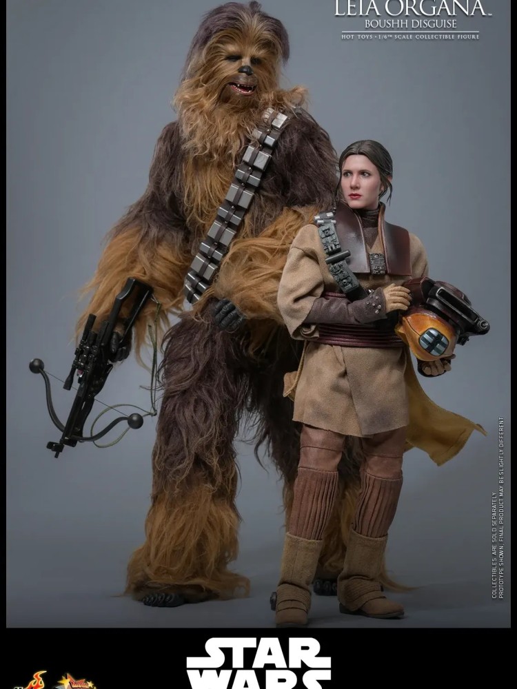 Leia Organa - (Boushh Disguise) Hot Toys