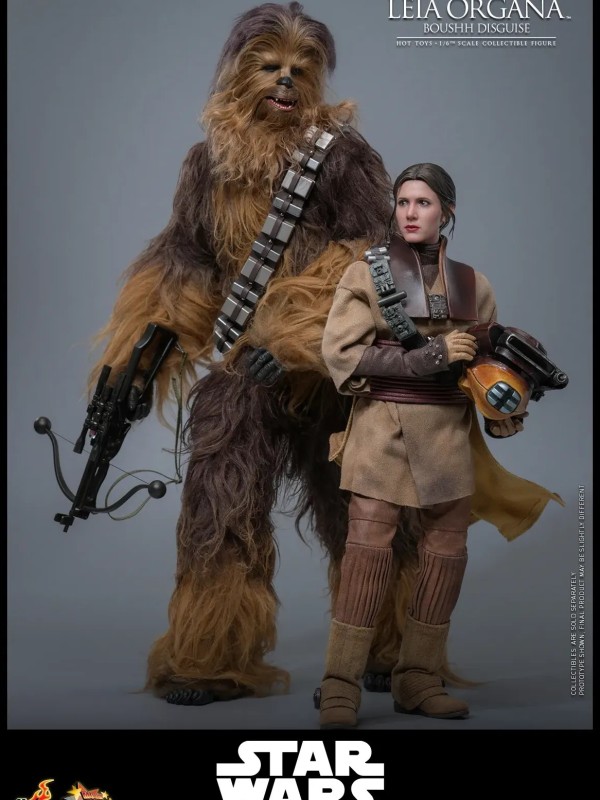Leia Organa - (Boushh Disguise) Hot Toys