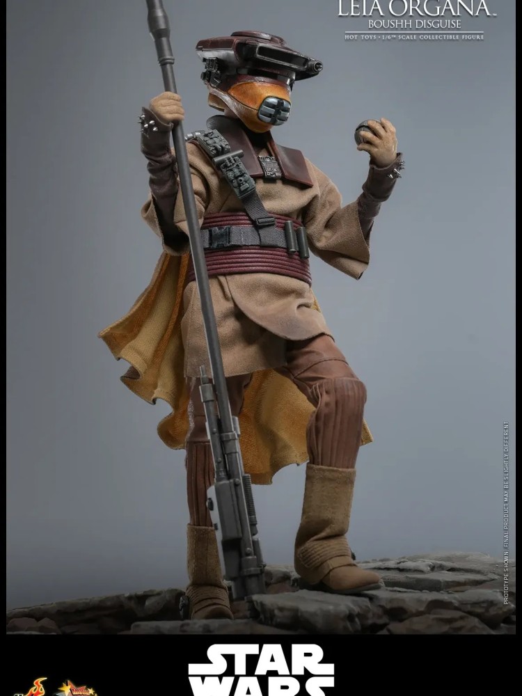Leia Organa - (Boushh Disguise) Hot Toys