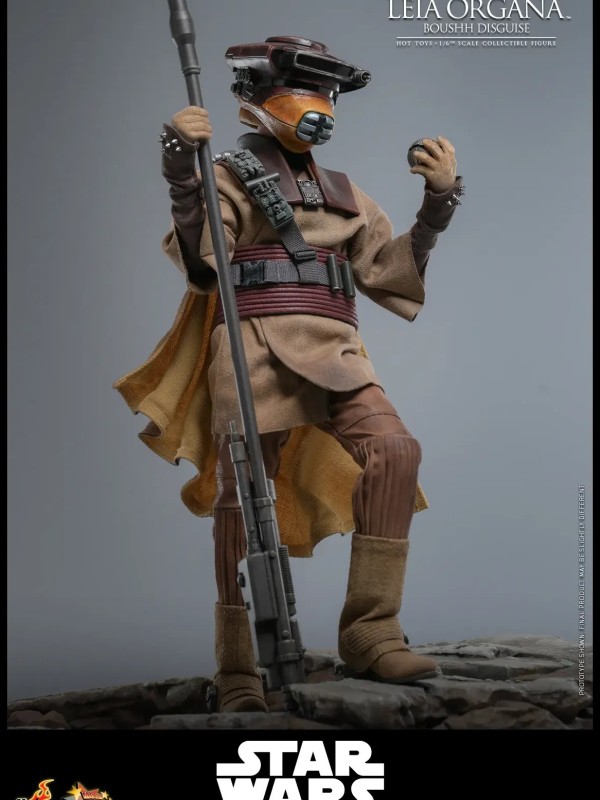 Leia Organa - (Boushh Disguise) Hot Toys