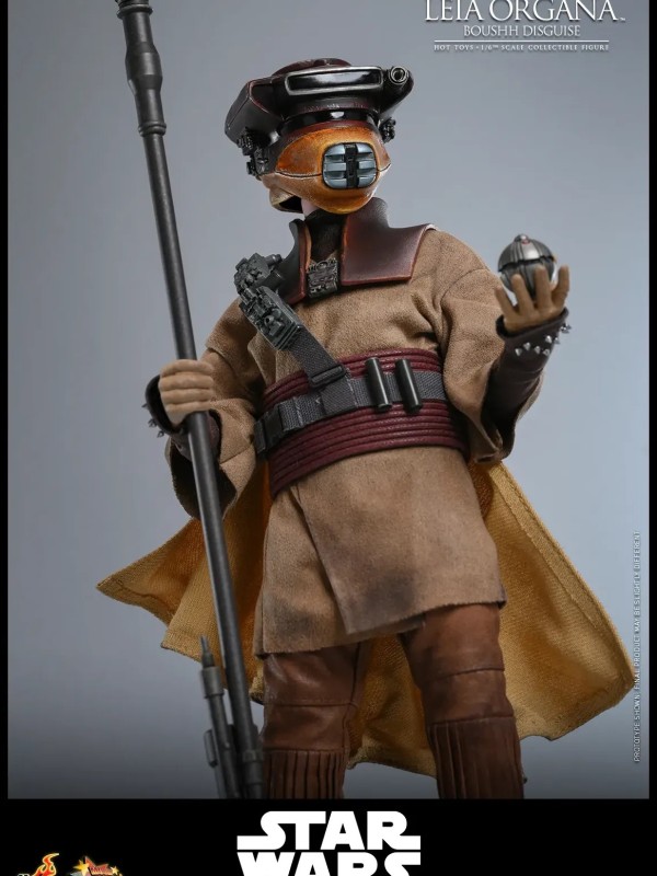 Leia Organa - (Boushh Disguise) Hot Toys