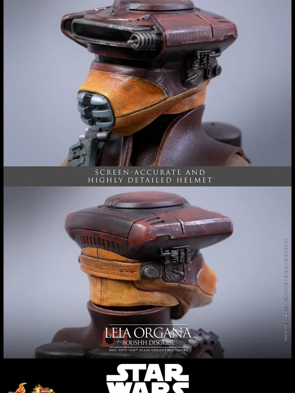 Leia Organa - (Boushh Disguise) Hot Toys