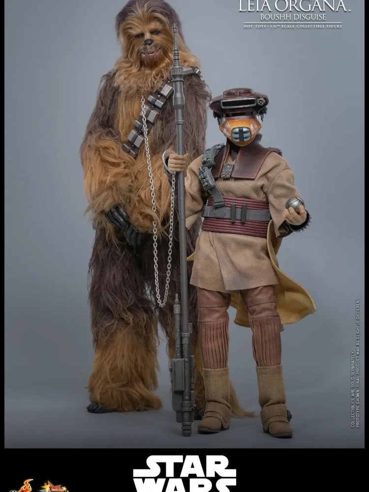 Leia Organa - (Boushh Disguise) Hot Toys