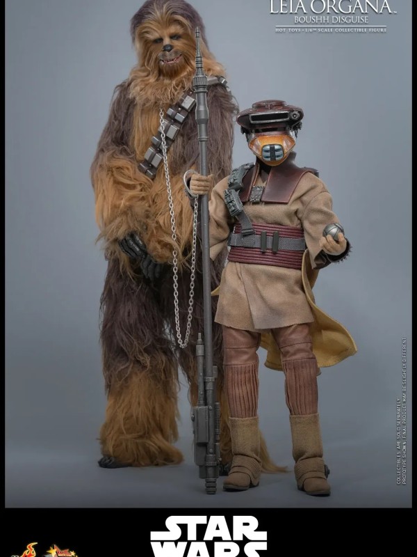 Leia Organa - (Boushh Disguise) Hot Toys