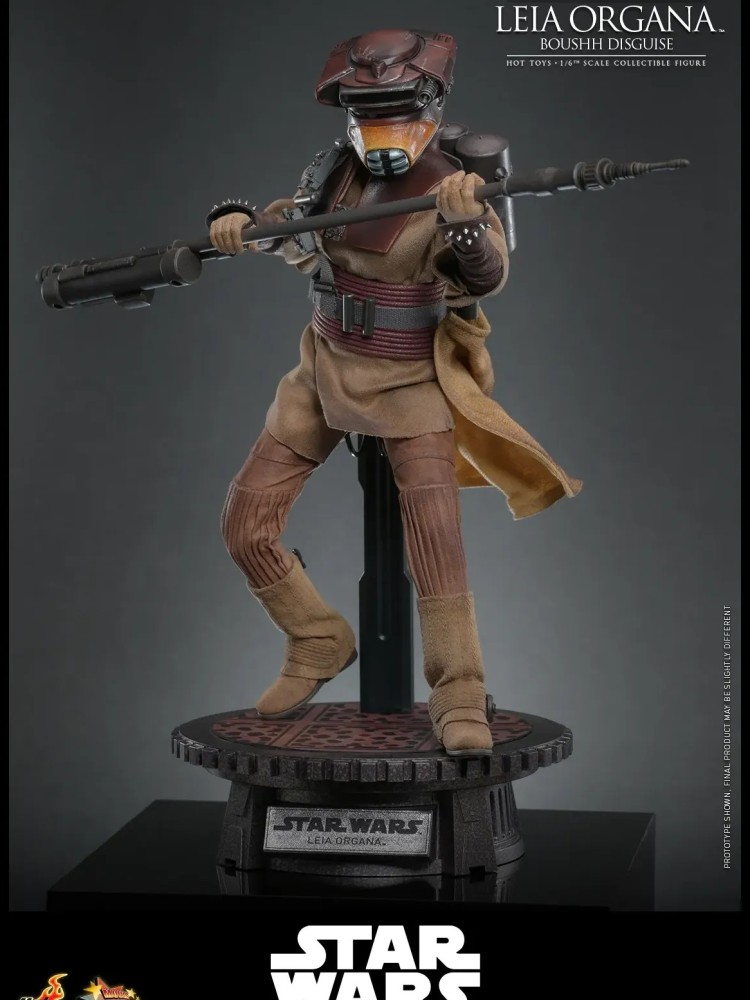 Leia Organa - (Boushh Disguise) Hot Toys