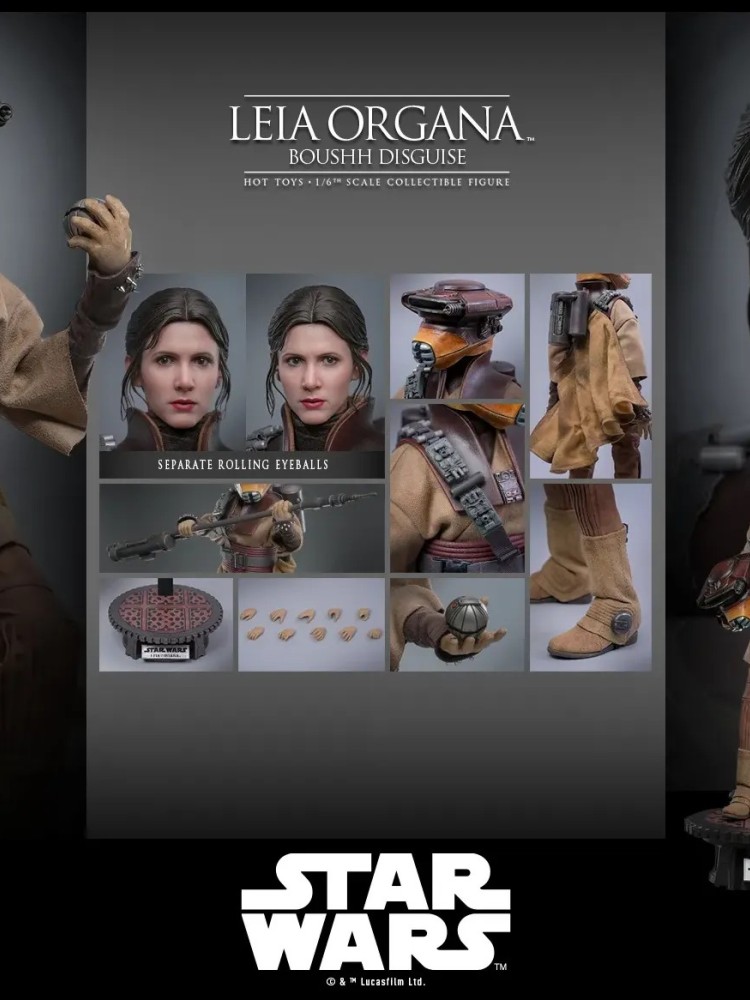 Leia Organa - (Boushh Disguise) Hot Toys