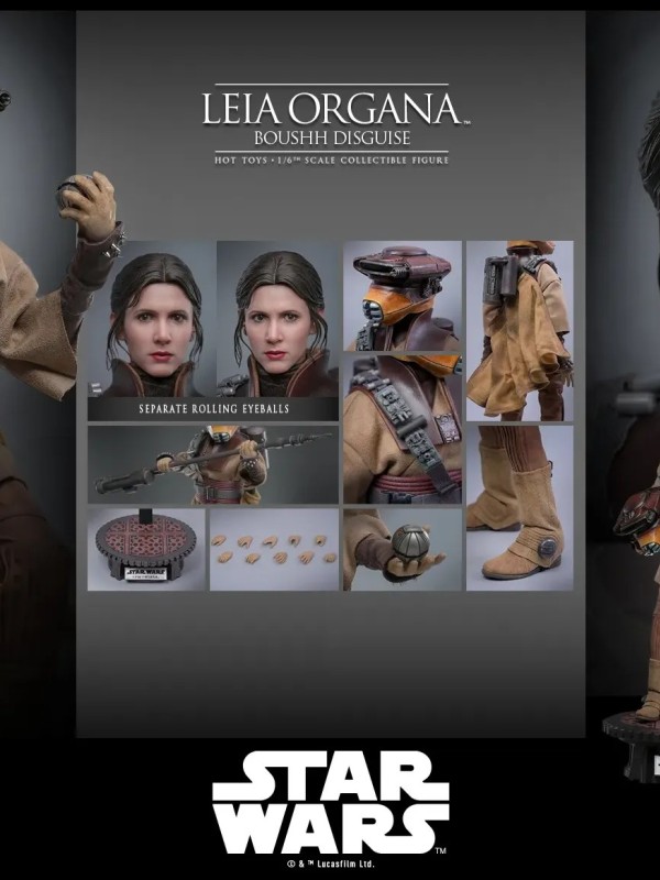 Leia Organa - (Boushh Disguise) Hot Toys