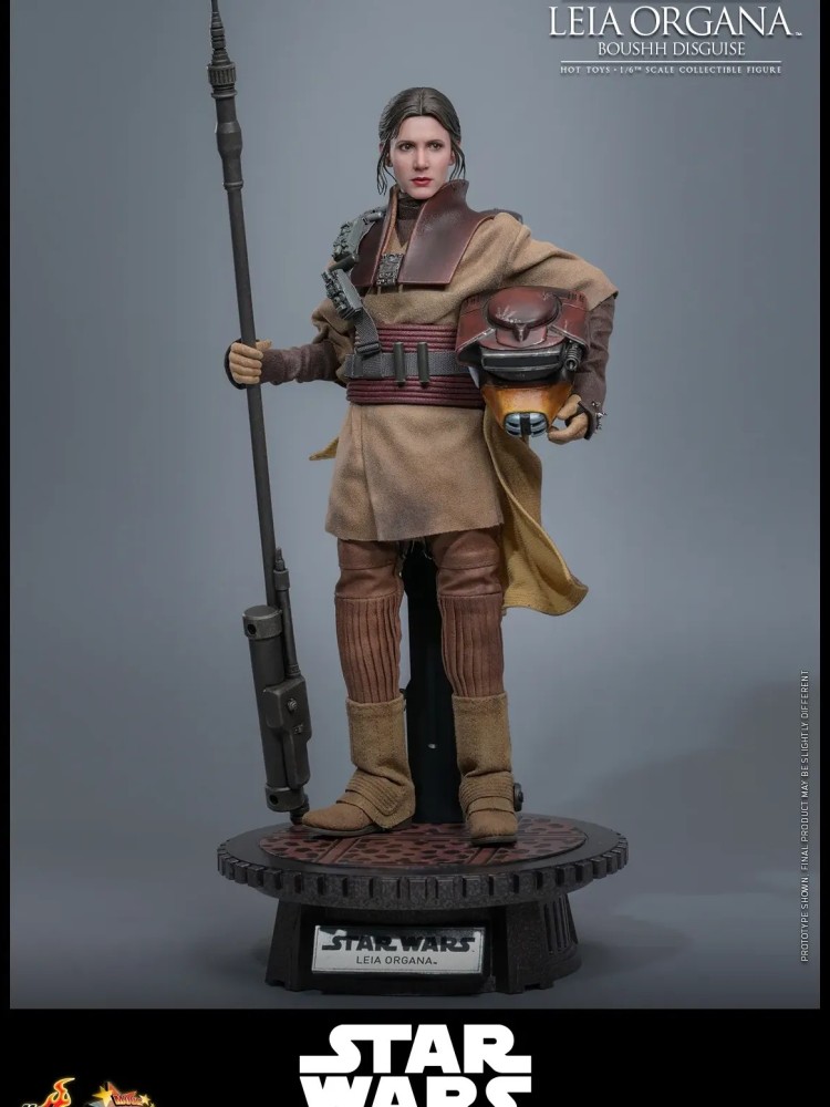 Leia Organa - (Boushh Disguise) Hot Toys