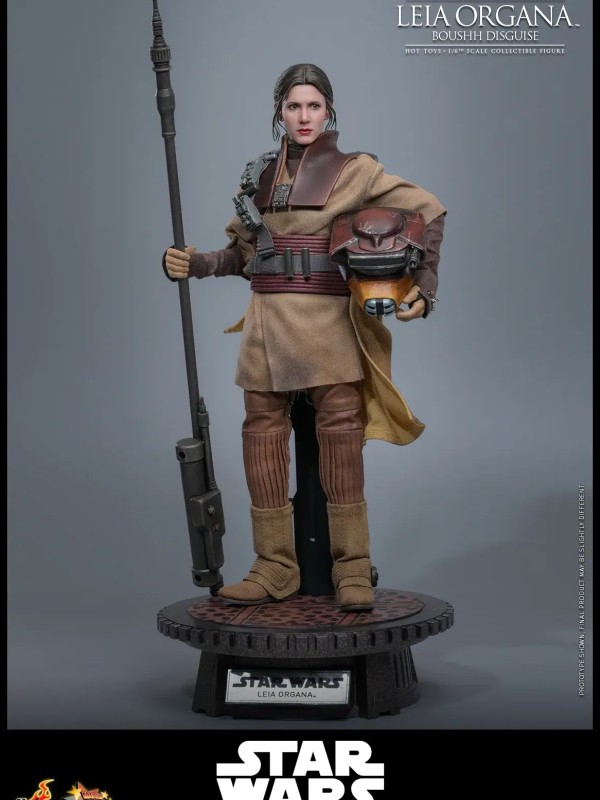 Leia Organa - (Boushh Disguise) Hot Toys