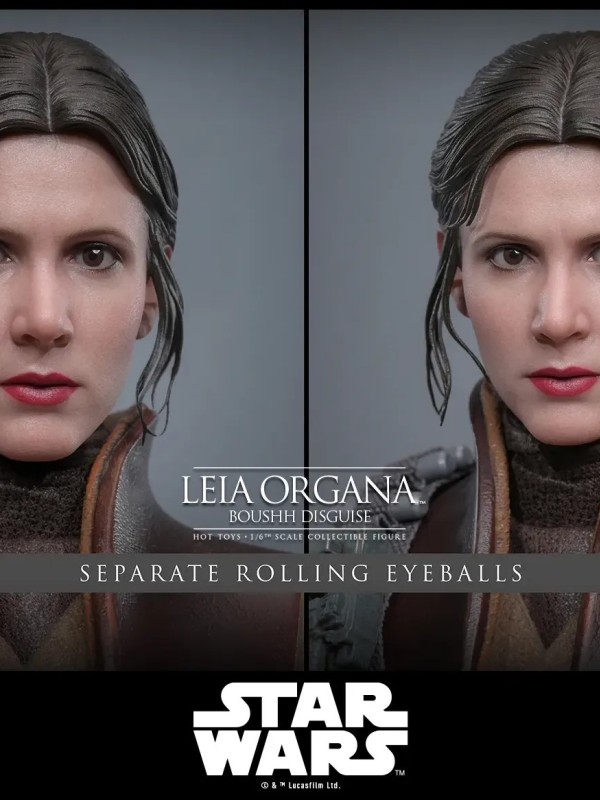 Leia Organa - (Boushh Disguise) Hot Toys