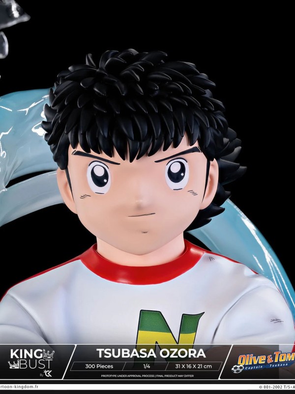 Cartooon Kingdom - Tsubasa Ozora 2