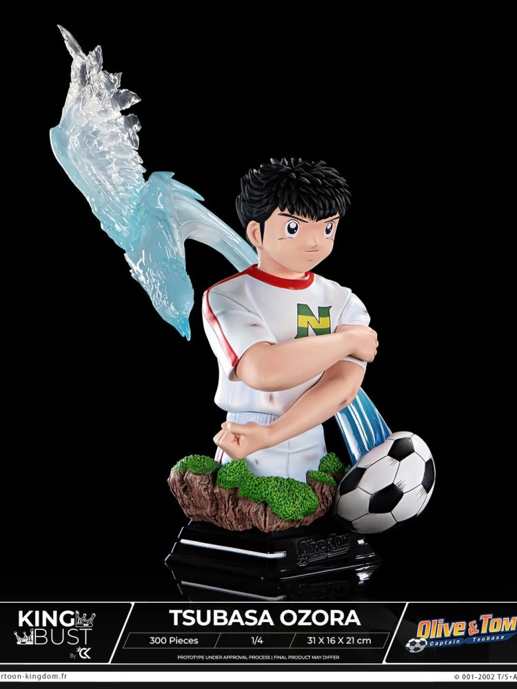 Cartooon Kingdom - Tsubasa Ozora