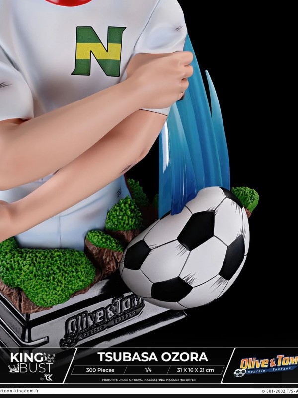 Cartooon Kingdom - Tsubasa Ozora