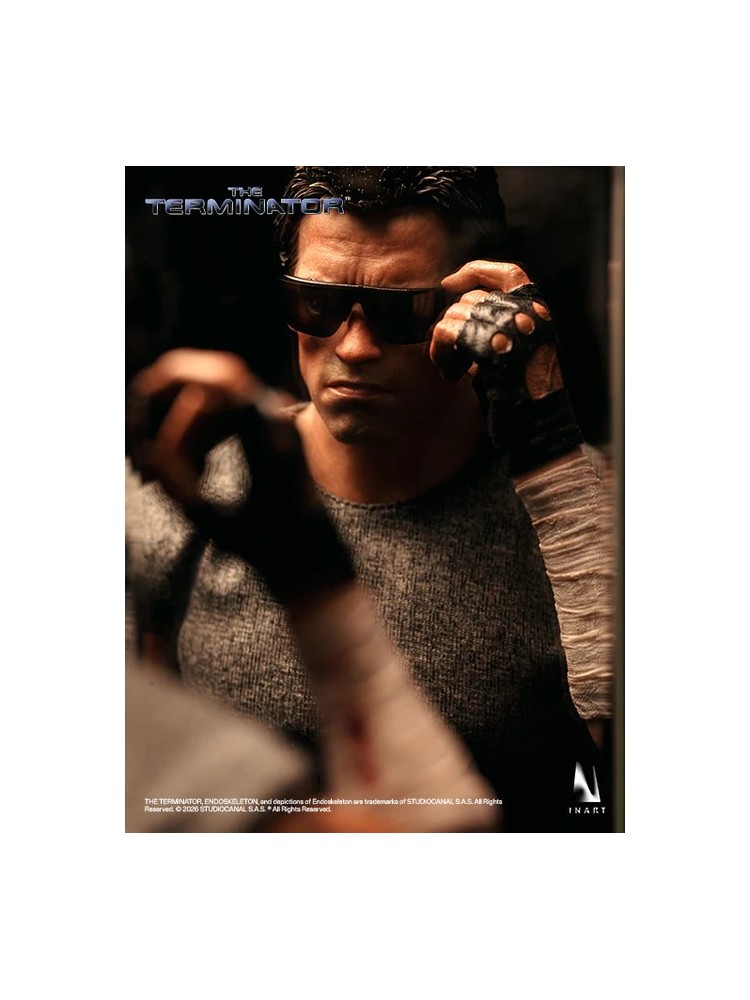 InArt Collectibles – T-800