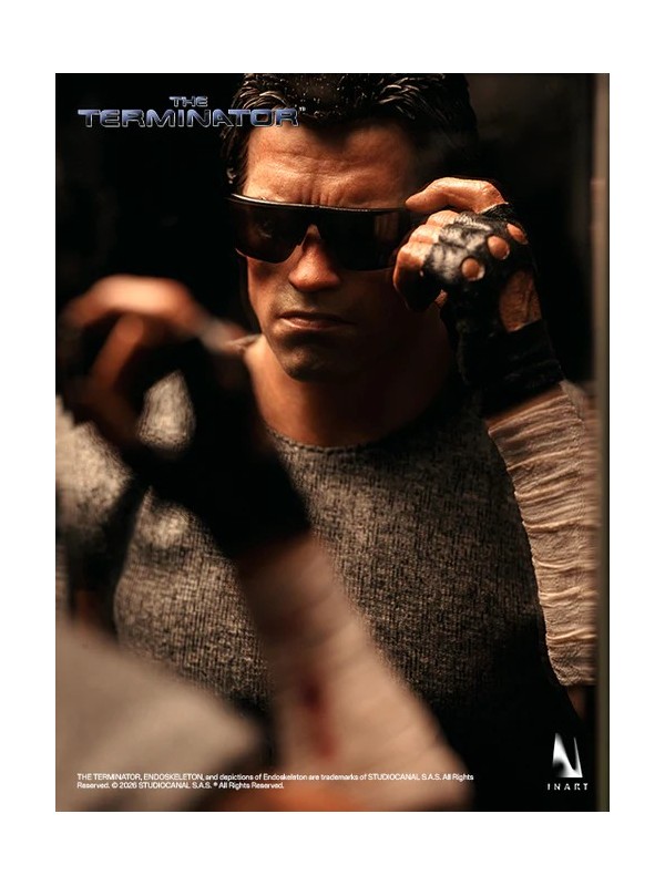 InArt Collectibles – T-800