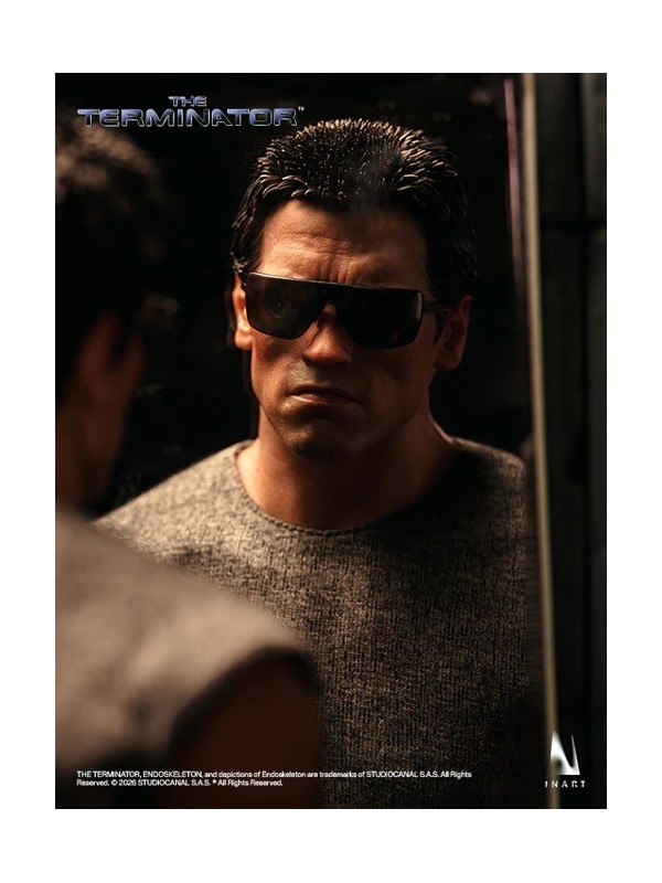 InArt Collectibles – T-800