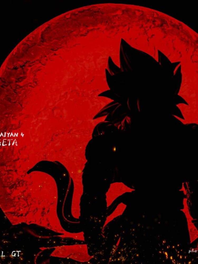 Plastic Soul - SSJ4 Gogeta