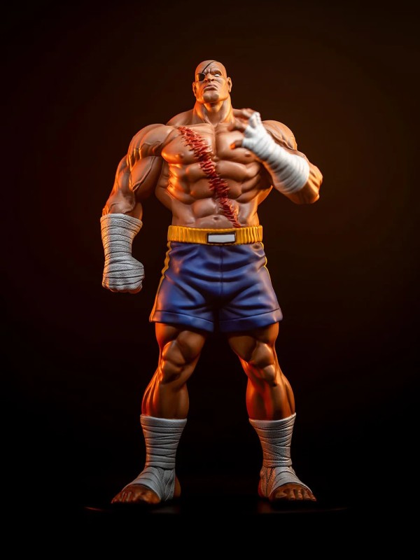 Sideshow Collectibles - Sagat and Juli
