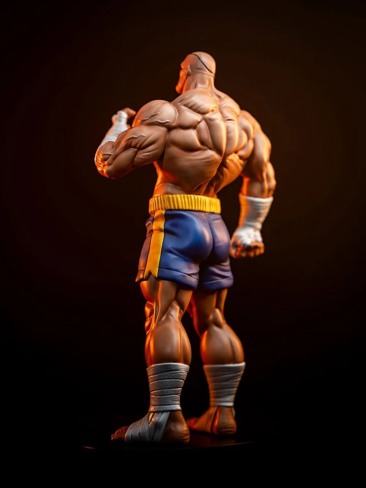 Sideshow Collectibles - Sagat and Juli