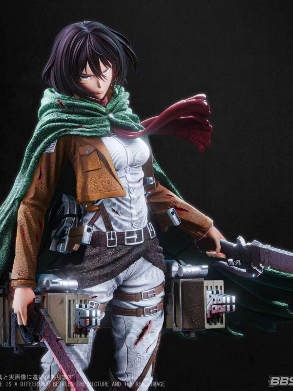 BBSD - Mikasa