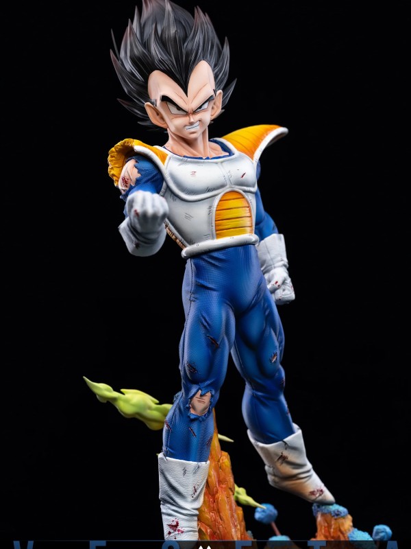 EH - Vegeta 2