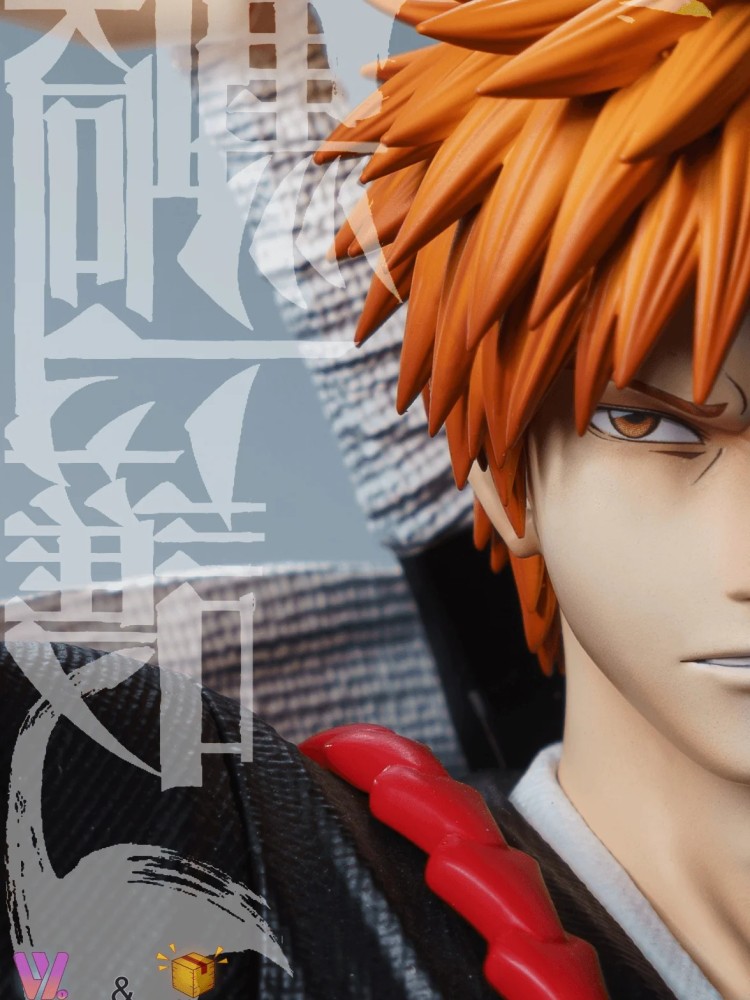 Woyo x Model Power - Ichigo