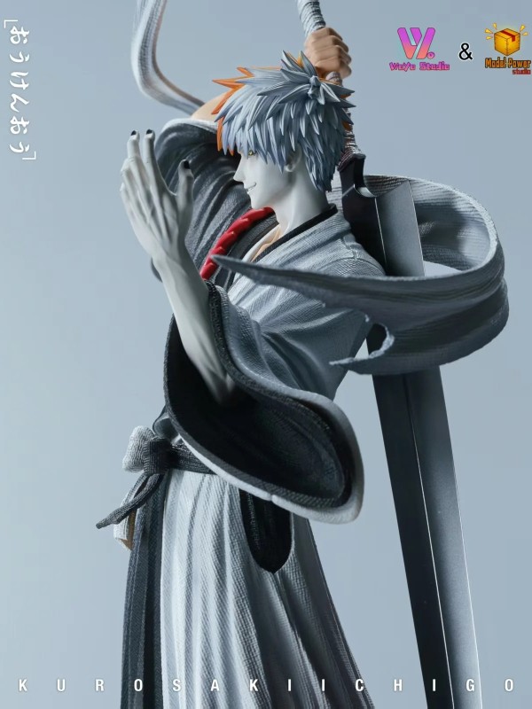 Woyo x Model Power - Ichigo
