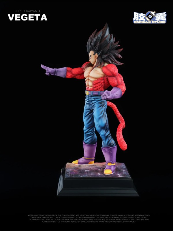 Vegeta SSJ4 EX Capsule Studio