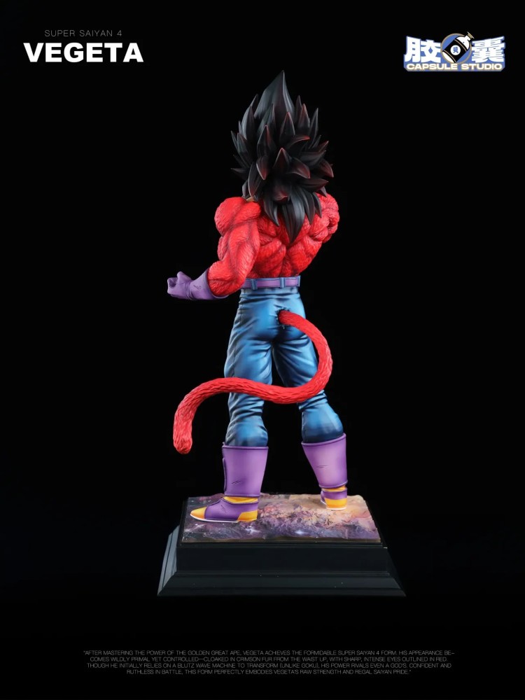 Vegeta SSJ4 EX Capsule Studio