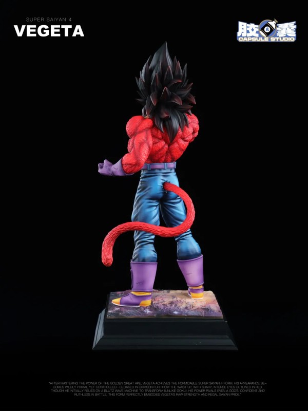 Vegeta SSJ4 EX Capsule Studio
