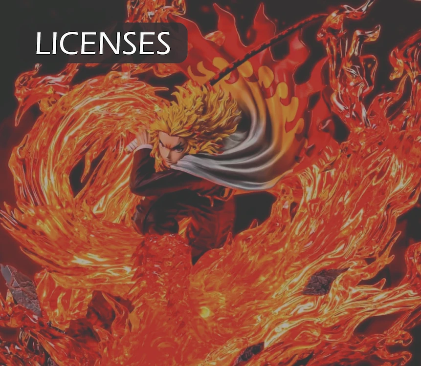 Licenses